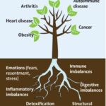 Đông – Tây y kết hợp trong điều trị bệnh tự miễn: xu hướng điều trị bền vững