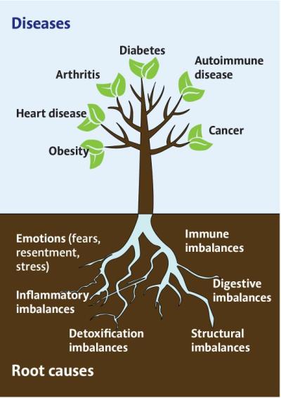 Đông – Tây y kết hợp trong điều trị bệnh tự miễn: xu hướng điều trị bền vững