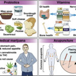 Kinh nghiệm tối ưu điều trị bệnh tự miễn: Viêm khớp dạng thấp, vảy nến, viêm ruột